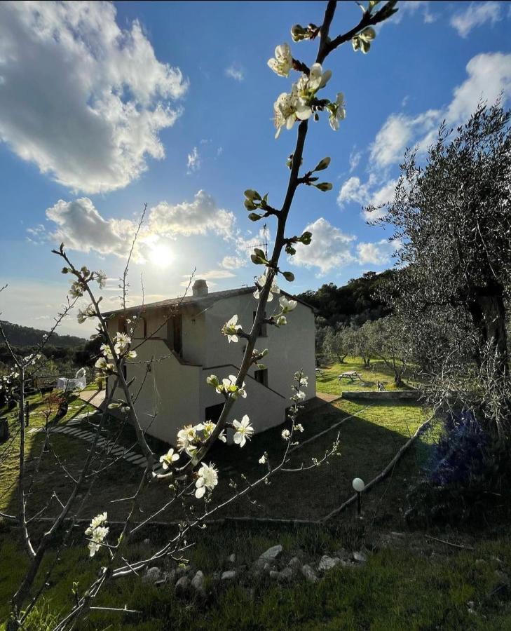Agriturismo Il Sorbo Appartamento Menta Sticciano Екстер'єр фото